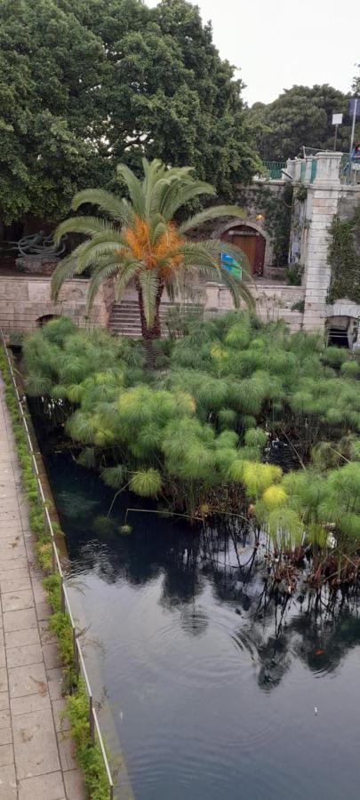 Maison Isola Di Ortigia Сиракуза Екстериор снимка